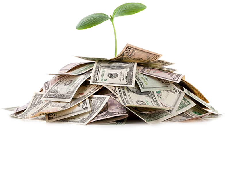Pile of money with tree sprout growing at the center