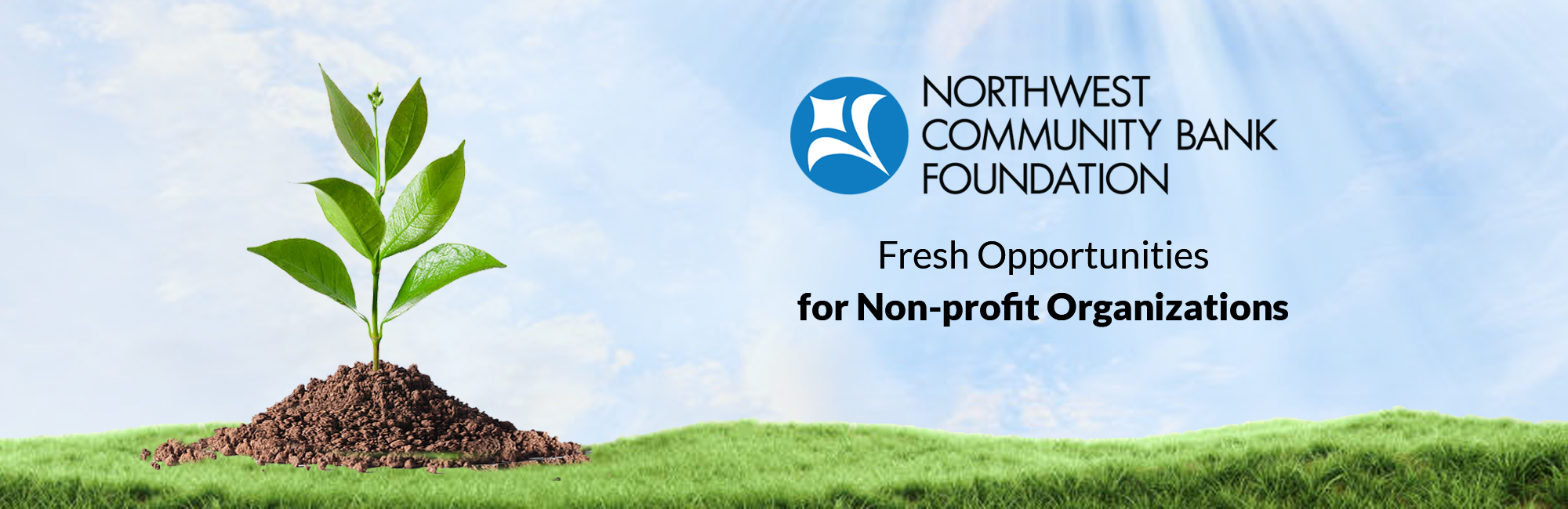 NCB Foundation LP Banner 2023
